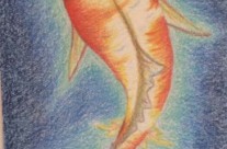 Dreamy Koi